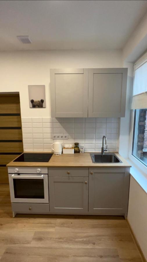 Wood Apartment Катовіце Екстер'єр фото